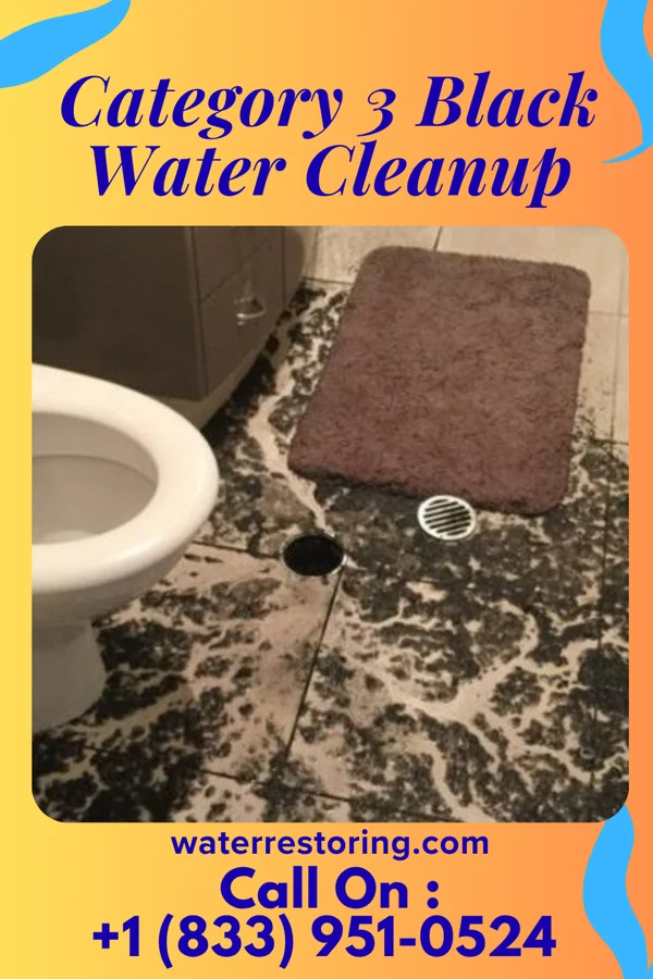 Category 3 Black Water Cleanup in Mirrormont, WA