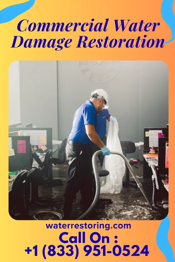 Commercial Water Damage Restoration in Mirrormont, WA