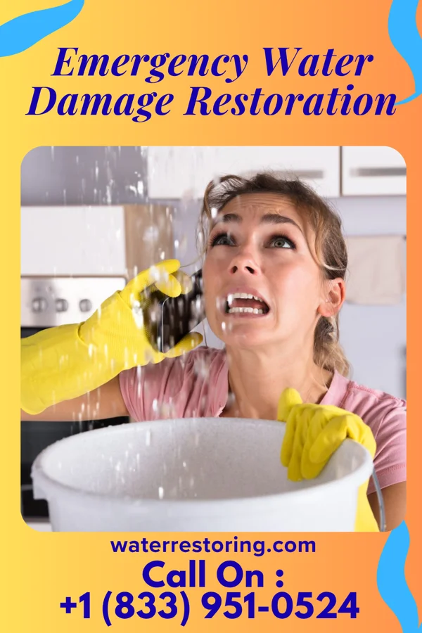 Emergency Water Damage Restoration in Mirrormont, WA