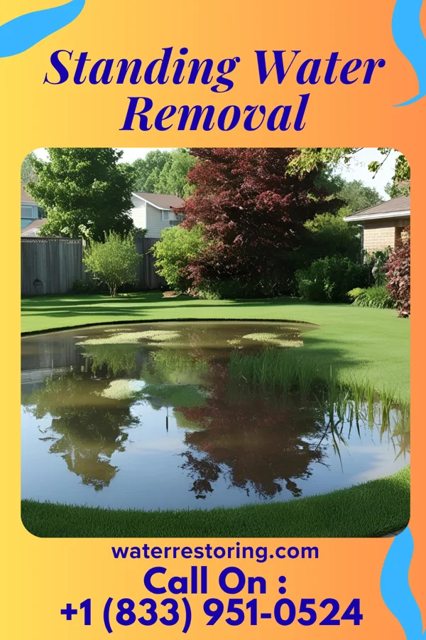 Standing Water Removal in Mirrormont, WA
